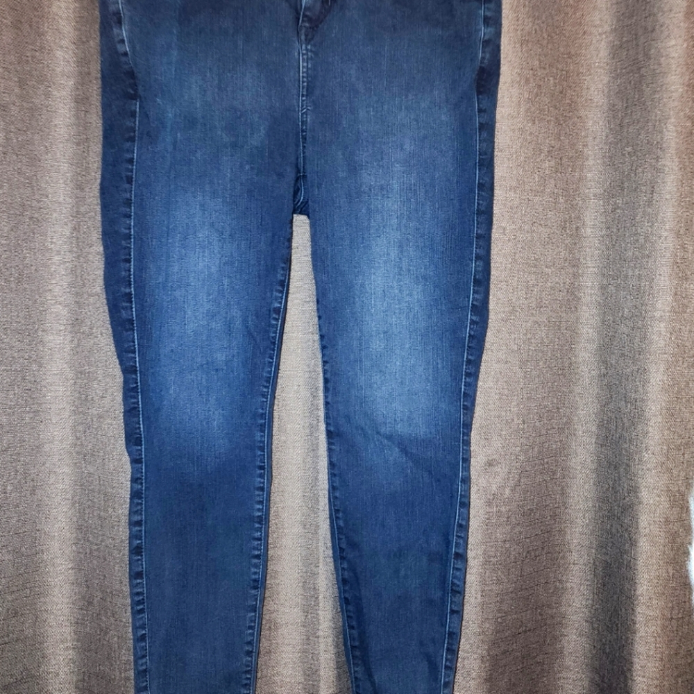 Torrid jeggin size 29